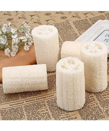6 Pcs Natural Luffa Sponge Set - Biodegradable Luffa Sponges for Body Washing Shower Scrubs & Kitchen Cleaning - Buy Online on SooperMarket.com