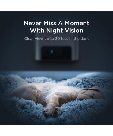 Petcube Bites 2 Lite - Interactive WiFi Pet Camera & Treat Dispenser with Sound Alerts - Buy Online on SooperMarket.com
