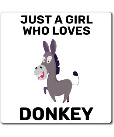 Hilarious Horseback Riding Horses Foal Donkey Enthusiast Humorous Racehorse Town Country Eohippus Lover Magnets 4" 4" - Buy Online on SooperMarket.com