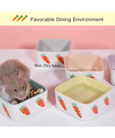 JanYoo Hamster Food Bowl Guinea Pig Feeder Accessories Ceramic for Cage with Water Supplies for Bunny Blue Yellow 150 ml (2 Pack) C-Blue+Yellow Pack of 2 - Buy Online on SooperMarket.com