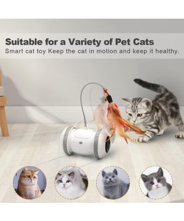 Nueplay Interactive Cat Toys with LED Light | Smart Electric Toy for Indoor Cats | USB Rechargeable Robotic Toy with Feathers | 2 Modes for Pet Exercise - Buy Online on SooperMarket.com