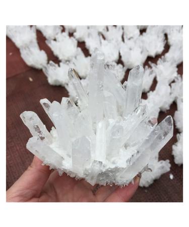Crystals 1pc Natural Rock Quartz Crystal Cluster Clear Crystal Specimen Home Decoration Gemstone (Color : 500-600g)