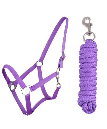 QHP Halter Set Beginner Halter + Lead Rope Heavy Snap Hook (Pony Passion Flower) Pony passion flower