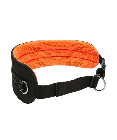LASALINE Canicross Dog Trekking Belt in Black Neon Orange