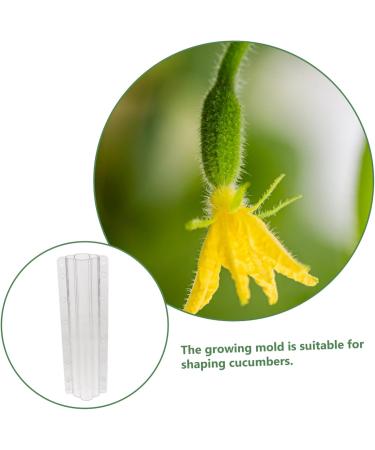 Toddmomy Garden Fruit Mould 4 Pcs Vegetable Shaping Mold Vegetables Vegetable Shaper Mold Cucumber Growth Molds Accessories - Buy Online on SooperMarket.com