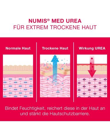 Numis Med Wirring Ointment 25% Urea - 6 Pack Vegan Foot Cream for Cracked Skin - Silicone & Paraben Free Foot Care (6x 50 ml) - Buy Online on SooperMarket.com