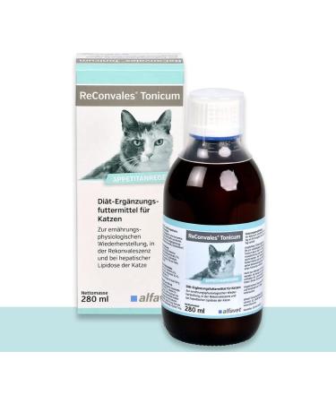 Alfavet Reconvales Tonic for Cats | 3 Pack (3 x 280 ml) | Dietary Supplement for Convalescence & Hepatic Lipidosis | International Shipping Available - Buy Online on SooperMarket.com