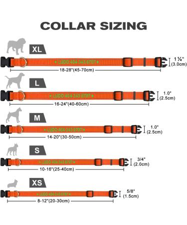 Tagme Personalized Dog Collar for Small Dogs - Embroidered Reflective Nylon with Pet Name & Phone Number - Orange (1 Pack) - Buy Online on SooperMarket.com