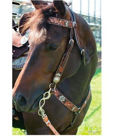 Circle Y Distressed Beaded Leather Browband Headstall - Walnut | Horse Bridle - Buy Online on SooperMarket.com