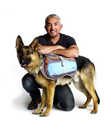 Cesar Millan pet backpacks m blue