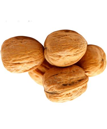 Walnuts in their Shell Whole Raw Nuts 500g - Premium Whole Walnuts in their Shell 500g