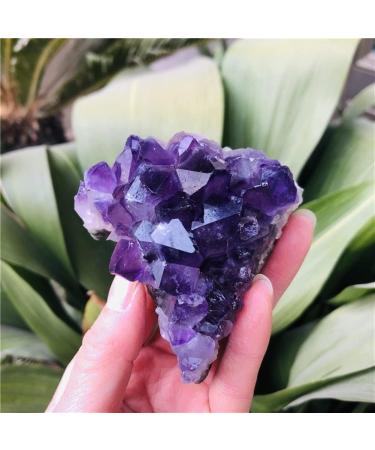 Home Decor Natural Dream Amethyst Quartz Crystal Cluster Specimen Gifts Natural Crystal Room Decoration FUZEGRDLI (Color : 90-100g Size : 1pc) 1pc 90-100g - Buy Online on SooperMarket.com