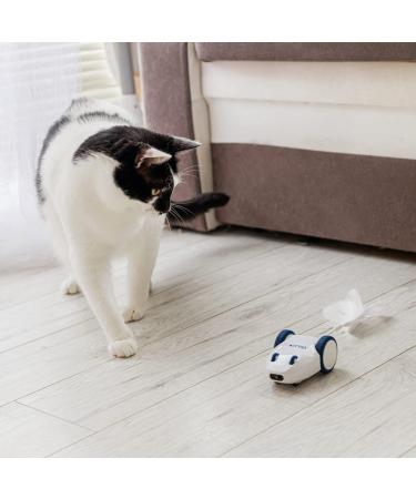 Kittio Robo Mouse: Interactive Cat Toy with Smart Steering Sensors - USB Charging - Buy Online on SooperMarket.com
