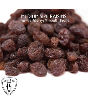 GERBS California Raisins 2 LBS - Resealable Bulk Bag | Allergy-Friendly, Calcium & Iron-Rich, Sulfur Dioxide-Free | Antioxidant-Packed, Gluten & Peanut-Free - Buy Online on SooperMarket.com