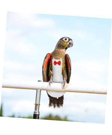 Buy PopetPop Flying Bird Diapers - Stylish Sittich-Outfit Bowknots for Parrots & Pigeons | High-Quality Cotton Bird Clothing 22x12cm - Buy Online on SooperMarket.com