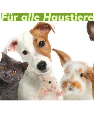 Traumapet 2x Ear Drops Colloidal Silver for Dogs & Cats - 2x 50ml Ear Cleaner Benefit Pack - Buy Online on SooperMarket.com
