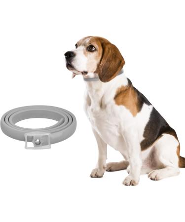 Dewel 63.5cm Waterproof Tick Collar for Dogs & Cats | Effective Flea & Tick Prevention | Adjustable Neck Band - Buy Online on SooperMarket.com