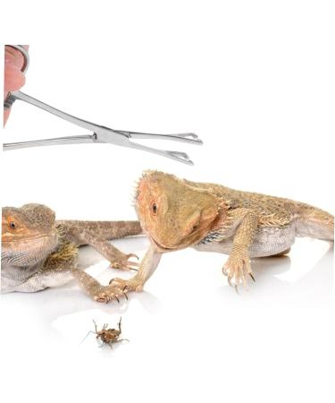 HAPINARY Reptile Feeding Clip Feeding Tools Aquarium Tongs Extra Long Silver Stainless Steel - Buy Online on SooperMarket.com