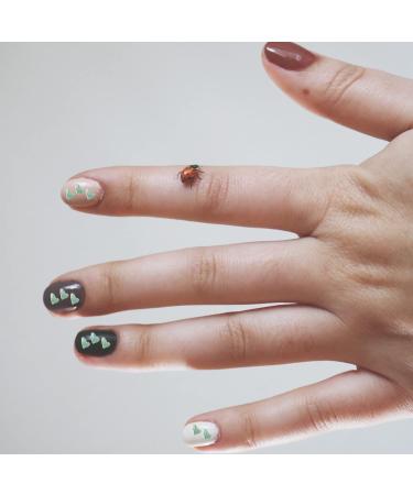FRCOLOR 1 Glass Chip Chunky Flakes Sequins Metallic Crushed Glass Epoxy Filler Charms Irregular Nail Art Crushed Glass Flakes for Nails Retro Vase Manicure Fillers Nail Stickers 3D Crystal 0.5X0.3cm Colorful - Buy Online on SooperMarket.com