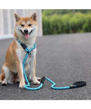 yeesport Dog Leash Nylon 5.9ft - Heavy Duty Nonslip Outside Outdoor Running Jogging Padded Handle Puppy Training Leash Blue M - Buy Online on SooperMarket.com