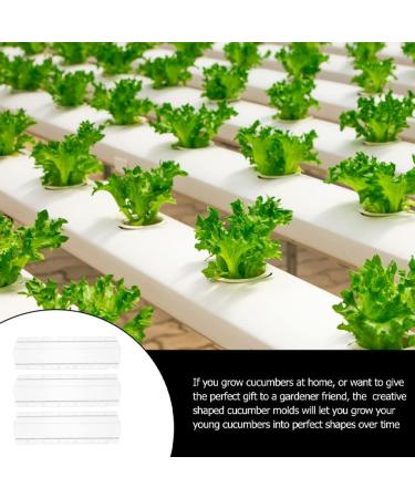 GANAZONO 3pcs Cucumber Mold Square Cucumber Growing Molds Solar Water Fountain Stereotypes Pp Ginseng Fruit - Buy Online on SooperMarket.com
