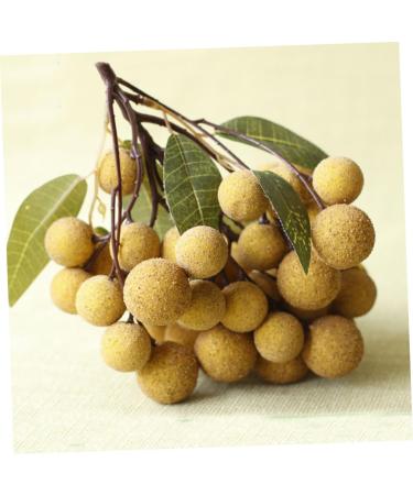 Ciieeo Doll House Diy Toy Fake Longyan Model Kitchen Fruit Longan Model Fruit Photography Props Fake Longan Decor Simulation Fruit Simulation Fake Fruit Faux Fruit Plastic Peach Miniature Khaki 18x18cm - Buy Online on SooperMarket.com