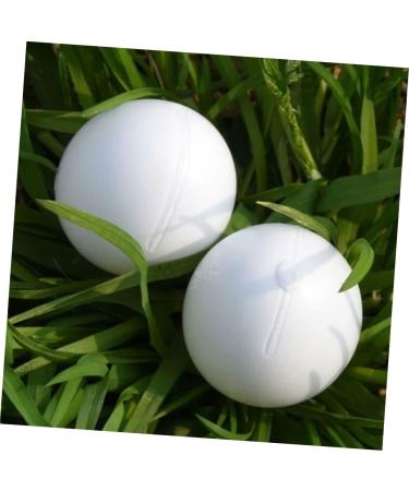 BCOATH 60 Pcs Water Injection Fake Pigeon Eggs White Fake Eggs Parrot Eggs Compact Eggs Breeding Props Craft Eggs for Painting Artificial Eggs Toy Eggs Supplies Meat Pigeon Plastic Whitex2pcs 2.9X4.1CMx2pcs - Buy Online on SooperMarket.com