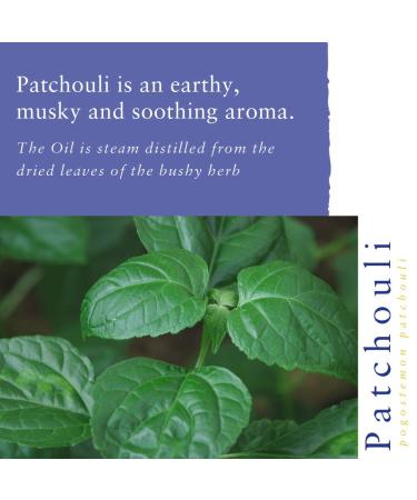 Buy Pure Patchouli Essential Oil 10ml - Premium Quality Natural Aromatherapy International Shipping Available - Buy Online on SooperMarket.com