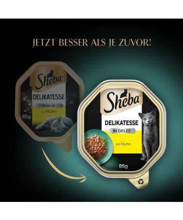 Sheba Delicacy in Jelly - High-Quality Chicken Cat Wet Food - 22 x 85g - Imported Premium Sliced Meat - Buy Online on SooperMarket.com