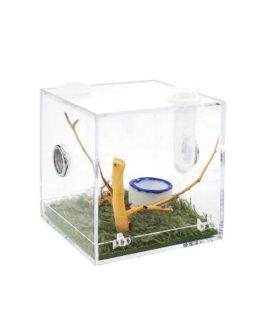 Acrylic Critter Keeper Jumping Spider Enclosure Snail Container House Accessories Reptile Terrarium Insect Enclosure Tank Snail Spider Habitat Cage Reptile Isopods Lizards Roach Feeding Box
