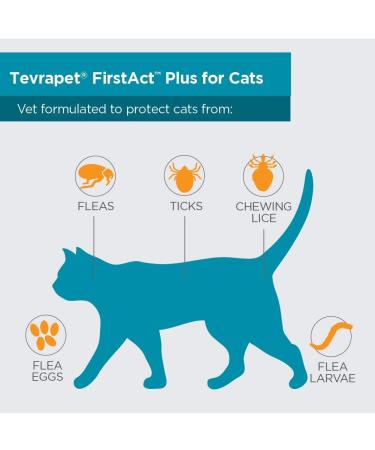 TevraPet FirstAct Plus Flea and Tick Prevention for Cats 1.5 lbs and Over | Waterproof | Fast Acting Treatment | 3 Doses - Buy Online on SooperMarket.com