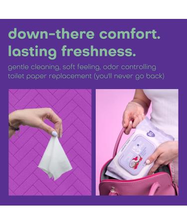 Violet Vibes Moisturizing Flushable Bathroom Wet Wipes for Women - Aloe Coconut Rose - 80 ct Pack - Buy Online on SooperMarket.com