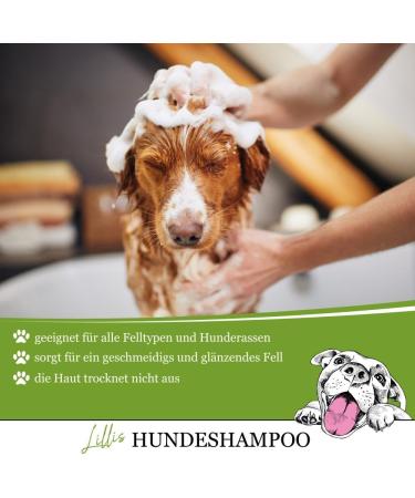 Lillis Naturals Dog Shampoo with Natural Herbs - 500ml for Skin & Coat Care | International Shipping - Buy Online on SooperMarket.com