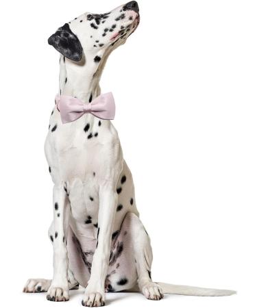 Lionet Paw's Silk Pink Dog Collar with Removable Fly for Puppies & Cats - Comfortable XS (20-30cm) | International Shipping Available - Buy Online on SooperMarket.com