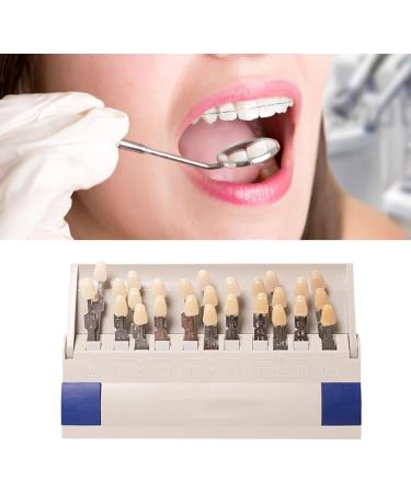 29 Color Porcelain Tooth Whitening Color Keys - Removable Tooth Elevation Table for Accurate Shade Matching - Buy Online on SooperMarket.com