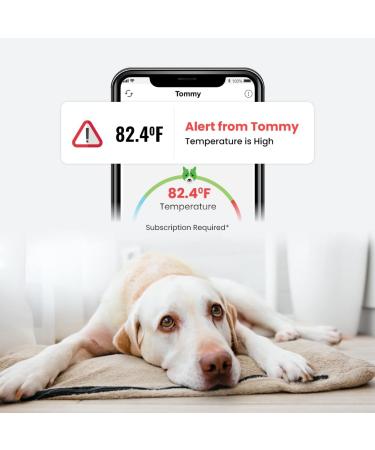 Waggle Lite RV/Dog Safety Sensor | Verizon Cellular | Instant Alerts on Temp & Humidity | Wireless Monitoring System | No WiFi | Subscription Required - Buy Online on SooperMarket.com
