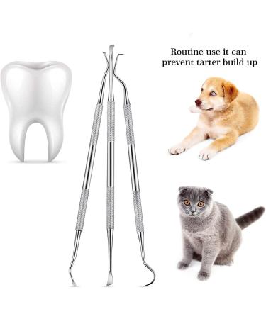 Dog Dental Tooth Scaler and Scraper Stainless Double Headed Tarter Remover Scraper Pet Teeth Cleaning Tools for Dog and Cat (3) - Buy Online on SooperMarket.com
