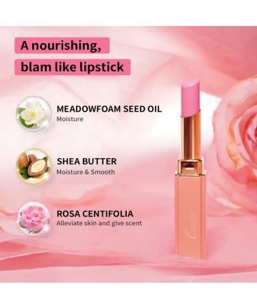 Oulac Moisturising Orange Lipstick - Hydrating Lipstick & Lip Balm for Dry Lips | Juicy Glossy Finish, Vegan & Cruelty-Free (08) - Buy Online on SooperMarket.com
