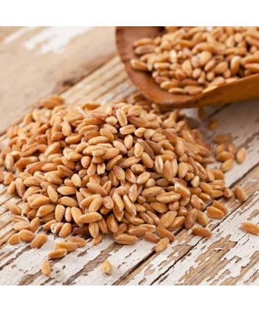 Epigrain Canadian Farro Whole Grain 1kg | Vegan | Organic | High Fiber, Iron, Protein, Magnesium, Zinc, Antioxidants - Buy Online on SooperMarket.com
