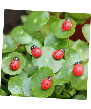 ABOOFAN 900 Pcs Car Decor Car Ornament Car Trim Decor for Car Model Car Decor Toy Decorate Potted Plant Succulent Plants Ladybug - Buy Online on SooperMarket.com