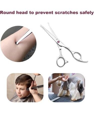 Professional 6.5 inch Hair Cutting Scissors Set for Kids/Women/Men - Barber Salon Kit with Thinning Shears, Saftey Round Head, and Red Handle - Buy Online on SooperMarket.com