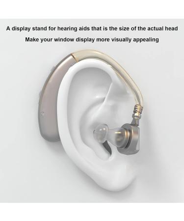 Flexible Waterproof Fake Ear Model for Hospital - Professional & Lifelike Display Mould - Buy Online on SooperMarket.com