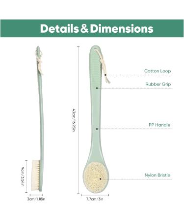 Long Handle Exfoliating Back Shower Brush - Dark Green Body Scrubber - Buy Online on SooperMarket.com