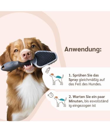 Amusi Neem l Tick Spray for Dogs 250ml | Natural Vegan Tick Protection Insect Spray - Paraben & Nickel Free - Buy Online on SooperMarket.com