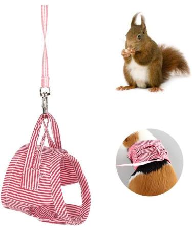 HEEPDD Small Animal Dishes & Leash for Guinea Pigs Squirrels Hedgehogs Chinchillas - Red L | Durable Pet Clothing & Accessories - Buy Online on SooperMarket.com