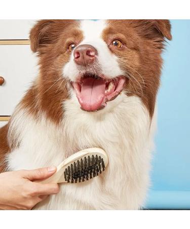 Double Sided Wooden Dog Brush for Grooming & Cleaning | 2-in-1 Pin & Bristle Soft Pet Hair Brush for Dogs & Cats | Long or Short Haired | Eco-Friendly - Buy Online on SooperMarket.com