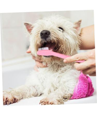 Yardwe 60 Pcs Double Head Dog Toothbrush Dog Teeth Cleaning Toothbrushes Cat Toothbrush and Toothpaste Pp - Buy Online on SooperMarket.com