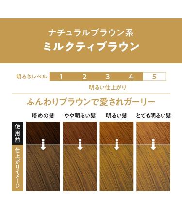 KAO Prettia Bubble Hair Color Milktea Brown 8oz - Long-Lasting Salon Quality Dye - Buy Online on SooperMarket.com