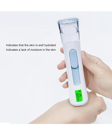 Handheld Facial Humidifier Face Mist Sprayer 180mAh Battery 30ml Capacity Double Holes Ultra-fine Sprayer for Home and Outdoor Use (Blue) - Buy Online on SooperMarket.com