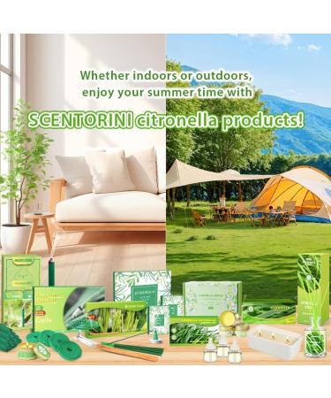 SCENTORINI Citronella Plugin Refills - Compatible with Air Wick Scented Oil Warmers | Essential Oil Air Fresheners for Home & Bathroom | 3 Refills - Buy Online on SooperMarket.com